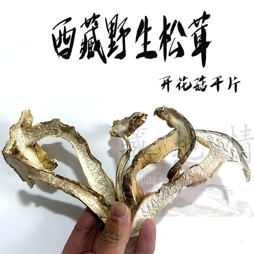 西藏直发2024年100g仅售145元包邮 林芝野生松茸干片 开伞盖松茸