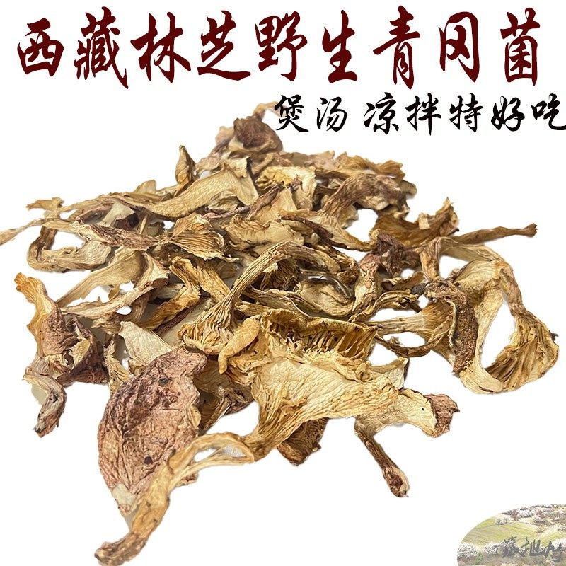 250克包邮 西藏野生青冈菌 干片  青冈菌 煲汤凉拌 原始森林野生