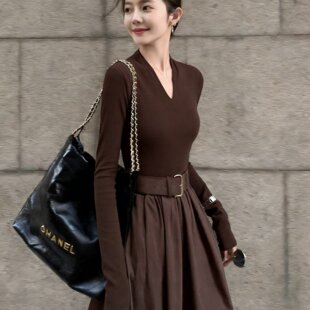 高级感春装女款新款收腰a字高级感巨好看轻熟御姐感长袖连衣裙女