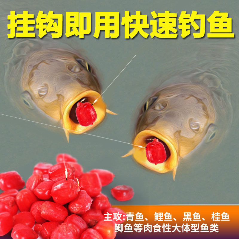 谷蜀香血玉米粒黑坑野钓打窝饵