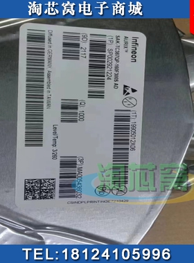SAK-TC387QP-160F300S AD 数字晶体管 原装现货 SAK BOM配单 IC