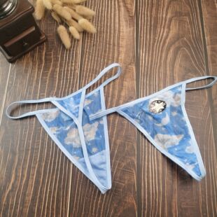 S-L码外贸镂空印花雪纺纱天空蓝一根绳细T低腰丁字裤无痕内裤