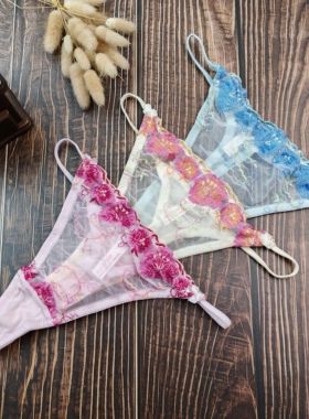 S-L码外贸欧美性感镂空网纱刺绣女士中腰丁字裤超薄T裤底裤