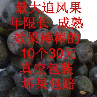 追风果刺虎新鲜果子泡酒