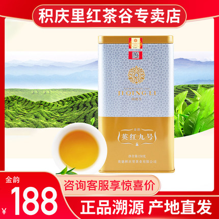 【现货】积庆里2026明前春茶英德红茶英红九号金韵罐装有机红茶