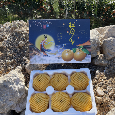 【秋月梨】4.5斤6颗礼盒山东莱阳秋月梨大果新鲜水果薄皮黄梨多汁