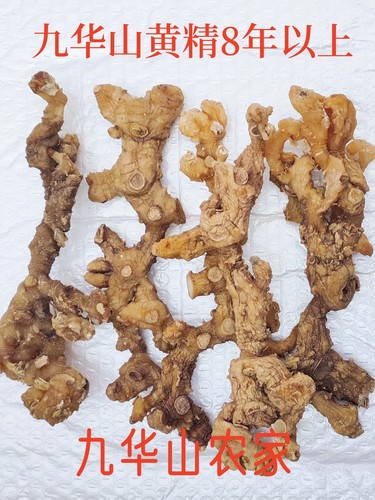 九华山特产野生黄精干