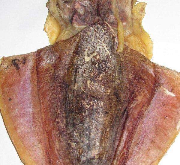 三沙群岛西沙群岛黄岩岛远洋深海海域特级大墨鱼干500g 包邮