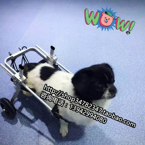 狗轮椅/宠物轮椅/残疾狗车/狗后肢康复锻炼车/瘫痪狗助行车