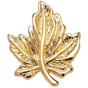 金色叶子胸针高档胸花领扣西服配饰男士西装枫叶轻奢胸章胸扣徽章