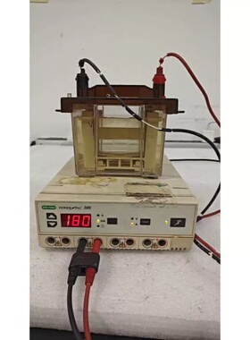议价 Bio-Rad伯乐PowerPac 300电泳电源