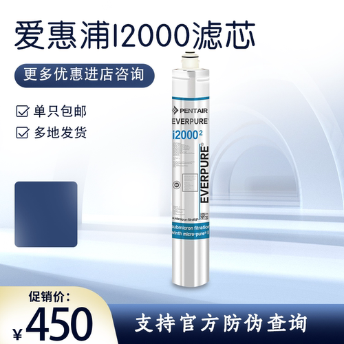 爱惠浦净水器主滤芯i2000滤芯奶茶店直饮水用大流量 MC2滤芯包邮