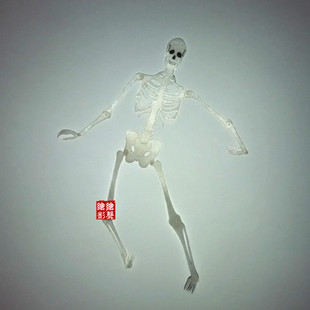 绘影皮影戏道具 白骨精造型之骷髅 带操作杆25厘米左右双面表演