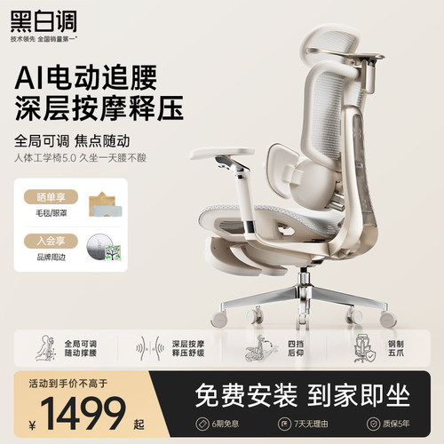 黑白调E3五代人体工学椅