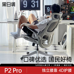黑白调P2Pro人体工学椅子电脑椅家用舒适久坐办公椅学习椅电竞椅