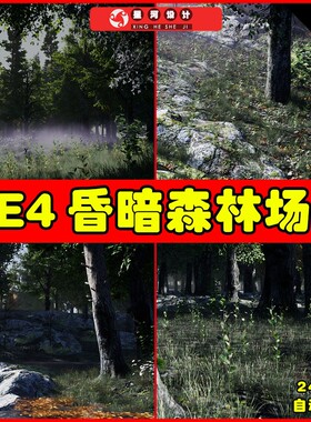 UE4UE5 Shady Forest 黑暗昏暗迷雾森林树林环境场景场景