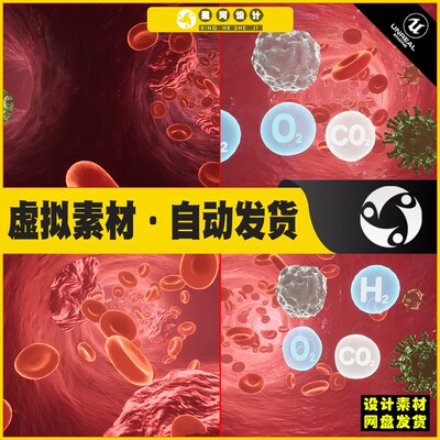UE4UE5 Blood Circulation血液循环虚拟设计素材场景4.27 5.4版本