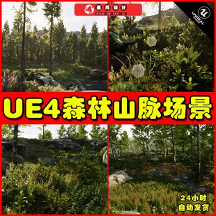 自然环境森林树林山脉创建工具场景 UE4UE5 Landscape Pro