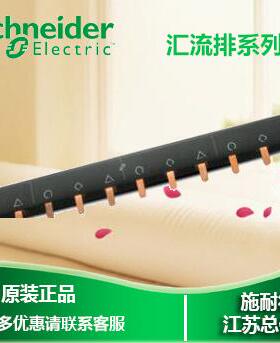 议价施耐德2P汇流排24接排位 可接12个2 P空开连铜排 接线A9XPH22