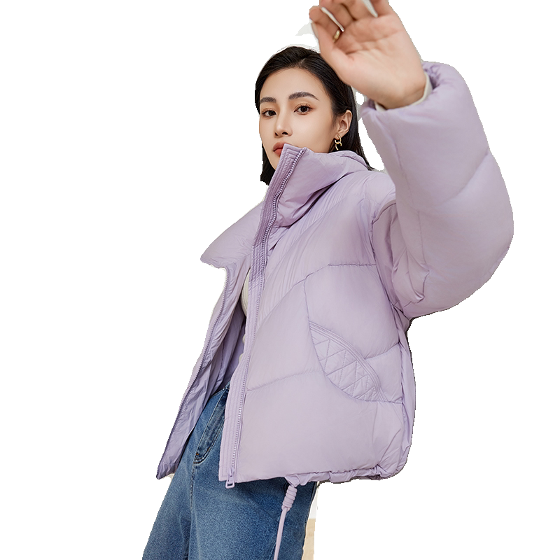 艾尚雪通勤短款立领羽绒服