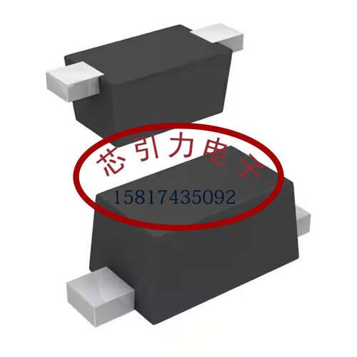 RB751G-40T2R SOD-723-2 肖特基二极管 线上商场 现货可直拍