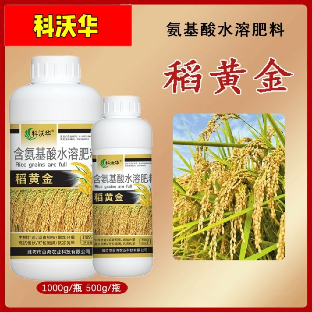 稻黄金水稻增产氨基酸叶面肥微量元素抗倒伏分蘖返青灌浆肥早熟