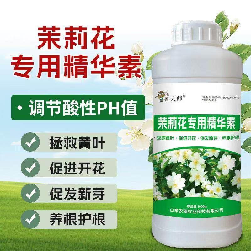 茉莉花专用精华素营养液肥料治黄叶干尖不开花僵苗弱鲁大师叶面肥