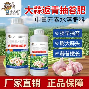 鲁大师正品大蒜返青抽苔专用肥大蒜专用叶面肥大蒜增产速长叶面肥