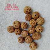 野生小山桃核打孔原料精选山桃胡近圆脑纹红皮手串50颗 包邮