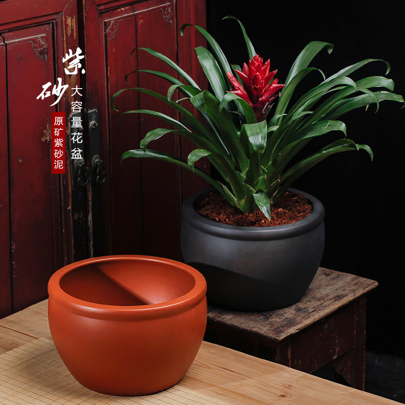 兰花盆君子兰吊兰文竹盆景绿植中国风室内精品铜钱草碗莲紫砂花盆