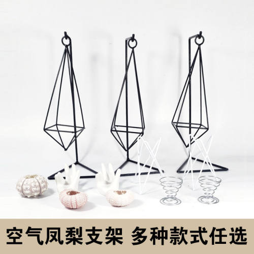 空气凤梨无土植物底座架方木几何