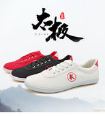 练功鞋 八段锦武术鞋 男女太极鞋 防滑运动鞋 透气 帆布鞋 龙拳春夏季