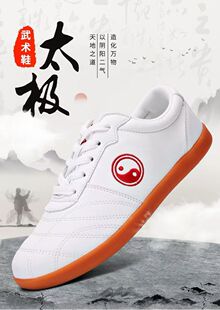 四季健身软皮真皮鞋太极鞋男女四季款气功八段锦武术练功鞋健身鞋