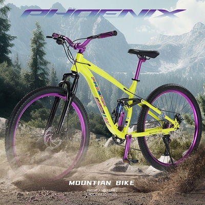 凤凰土坡车炸街软尾山地车