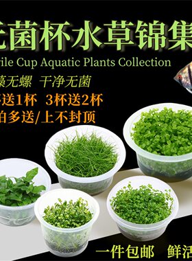 无菌杯水草合集鱼草缸前中后造景