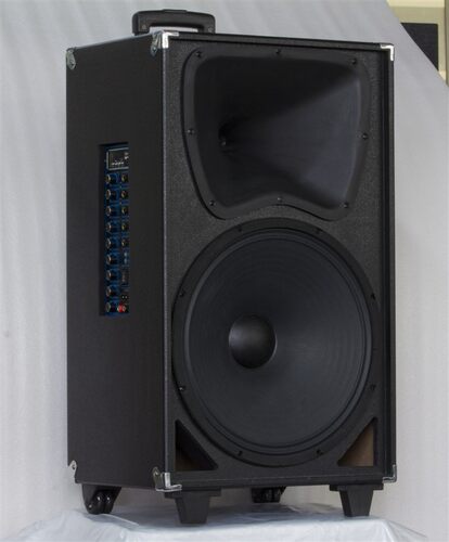 专业号角15寸音箱