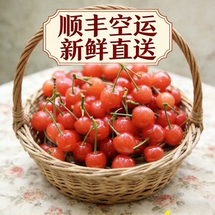 现摘四川小樱桃凉山农家土樱桃童年味道孕妇水果 顺丰空运