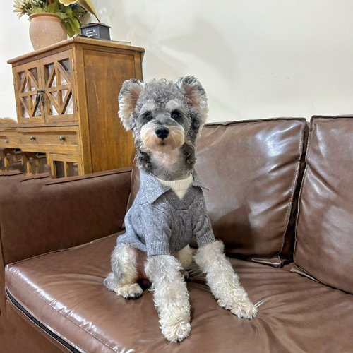 新品宠物针织假两件POLO衫