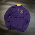 11#Ecu Model 1
