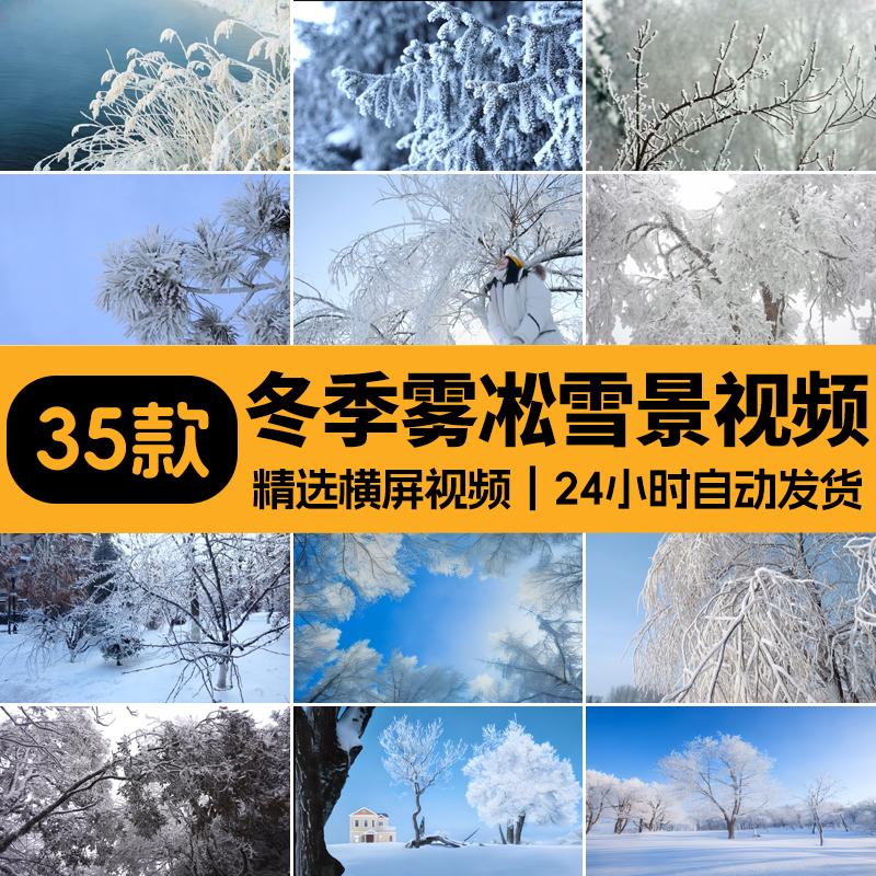 冬季雾凇美景冬天树枝雪松积雪特写雪景冬日冰天雪地剪辑视频素材