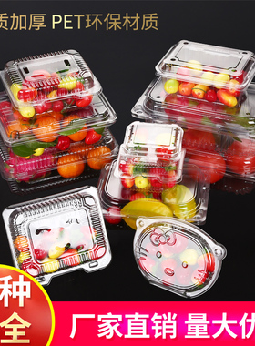 一次性透明水果盒塑料草莓打包盒保鲜蔬菜带盖包装盒果切盒水果捞