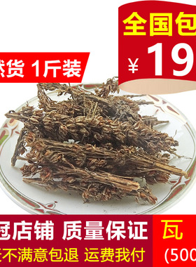 瓦松 中药材 瓦松花 流苏阿松 向天草 酸塔 天王铁 塔草瓦塔 500g