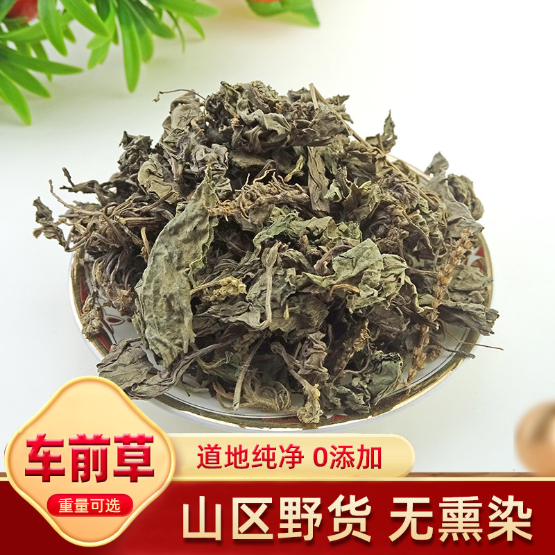 车前草 天然纯野生新货 中药材 车轮菜 干 五更草 田灌草 500克,传统滋补营养品,其他药食同源食品,淘宝优惠券,粉丝福利购,淘宝优惠卷