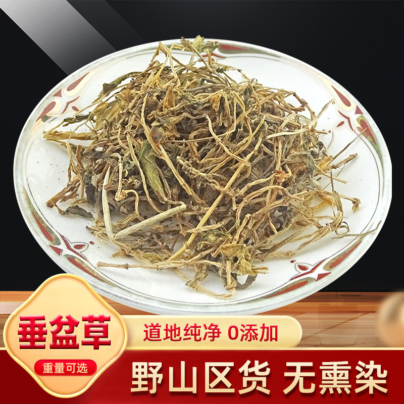 垂盆草 狗牙草 天然纯新货 中药材 锤盆草 无硫 老鼠芽 500克包邮