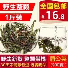 花茶 蒲公英茶 干 包邮 500克 整颗婆婆丁 野生 带根 蒲公英 新货