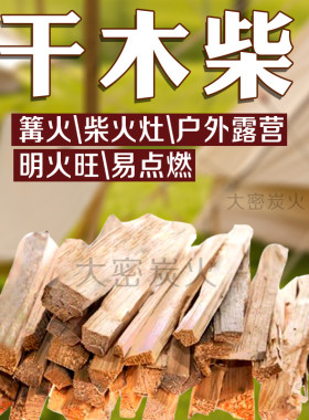 露营木柴易点燃干柴野炊露营