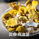 大理山居鸡油菌云南特产山珍黄丝菌干货菌菇蘑菇香菇煲汤火锅 包邮