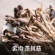 大理山居茶树菇云南特产山珍干货不开伞菌菇蘑菇香菇煲汤火锅 包邮