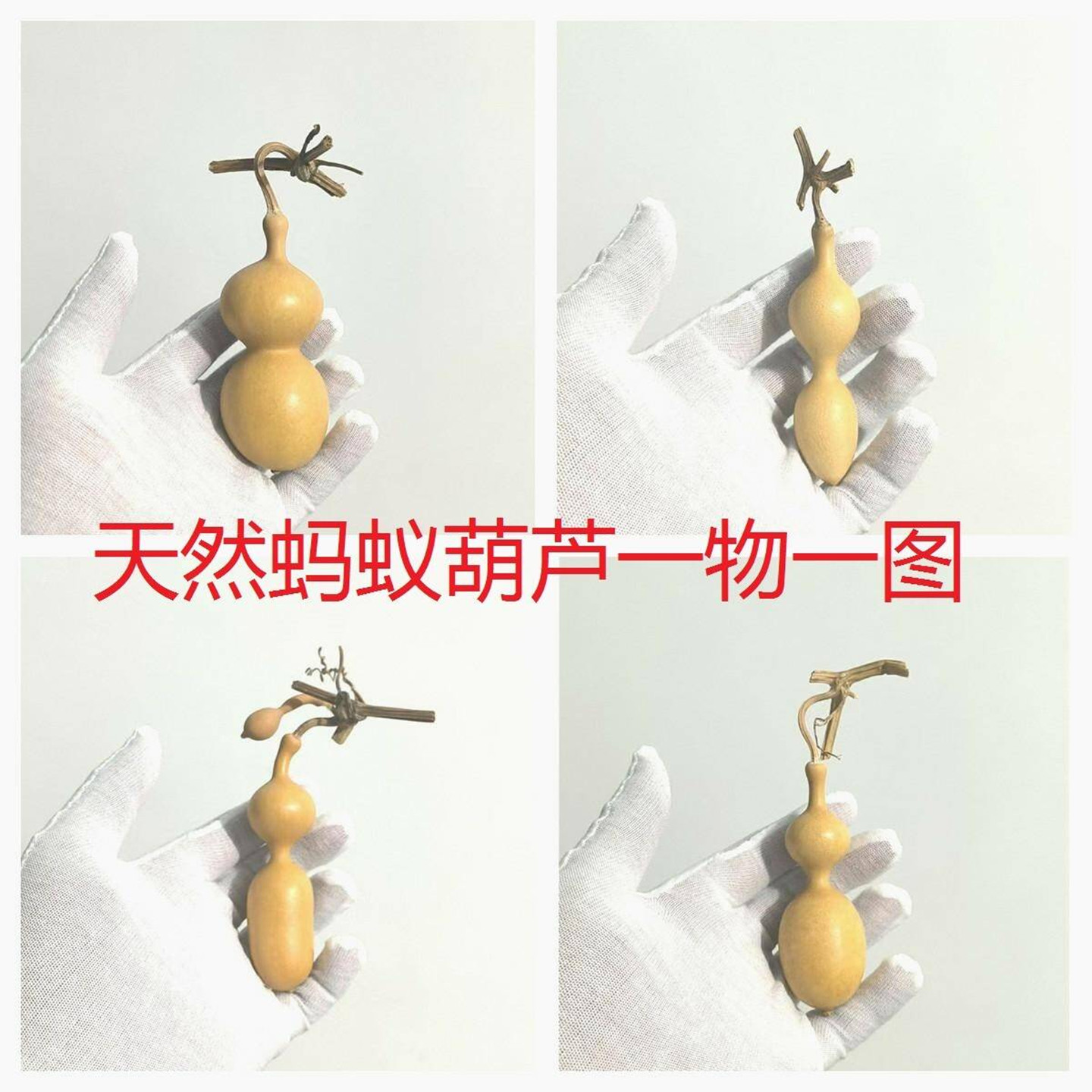 天然蚂蚁肚文玩小葫芦异形手捻一图一物精品把玩随身携带手把实图