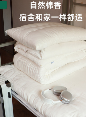 被芯宿舍单人学生子母被a类母婴级3斤棉花被秋冬被芯160cmx210cm
